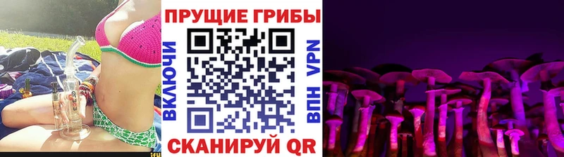Псилоцибиновые грибы Magic Shrooms  как найти   Высоцк 